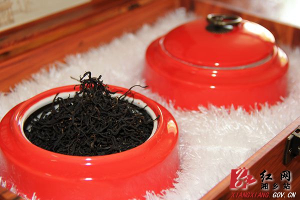 毛田深山“野”茶 带领群众脱贫致富(图10)