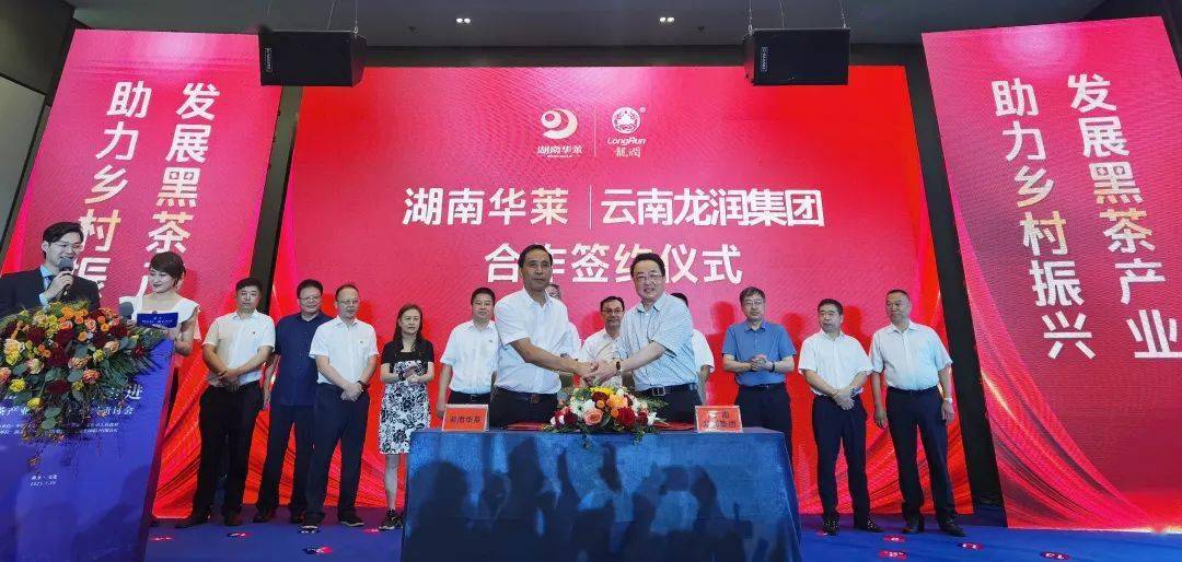 【聚焦】“云南普洱”联姻“安化黑茶”，开启中国黑茶新征程！ (图4)